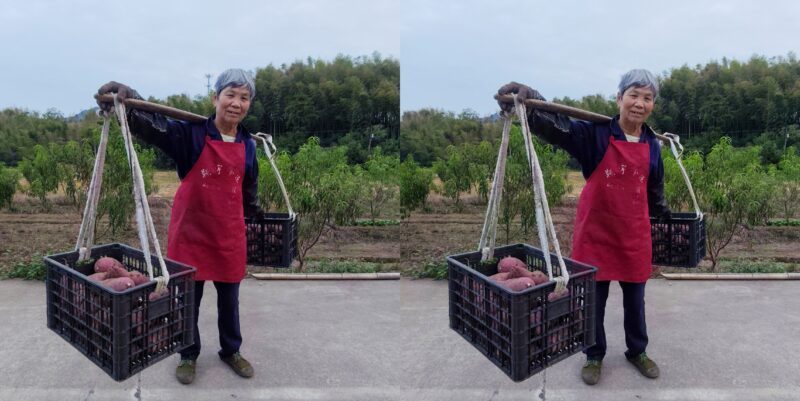 测试3-3dphoto135.com